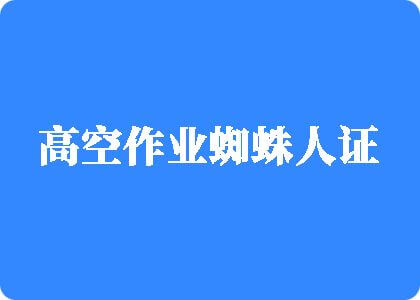 嗯啊啊高h小骚穴吃不下视频高空作业蜘蛛人证